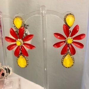 Elizabeth Cole earrings